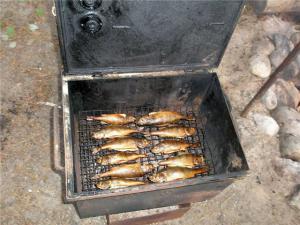 Коптильня для рыбы домашняя